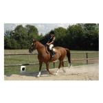 Harrys Horse laarzen tas rijlaarzen tas draagtas voor rijlaarzen zwart rijlaarzen tas rijlaarzen beschermende laarzen tas voor rijlaarzen ruitertas