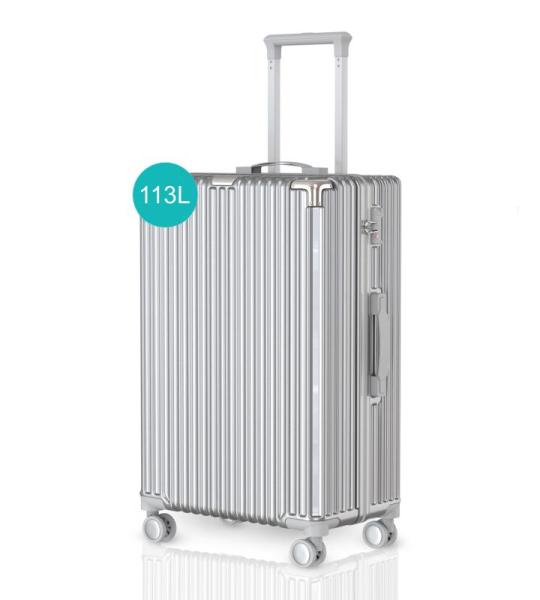 Voyagoux Koffer handbagage - harde koffer groot, TSA-slot, ABS, 4 x 360° wielen, robuust en lichtgewicht, zilver