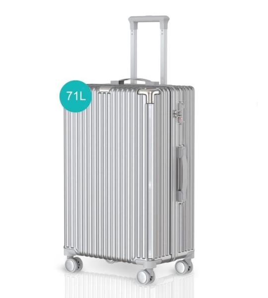 Voyagoux Koffer handbagage - harde koffer groot, TSA-slot, ABS, 4 x 360° wielen, robuust en lichtgewicht, zilver