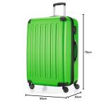 Hauptstadtkoffer Spree, koffer met harde schaal, trolley, rolkoffer, reiskoffer, kan breder worden gemaakt, TSA, 4 wielen Spree, groen