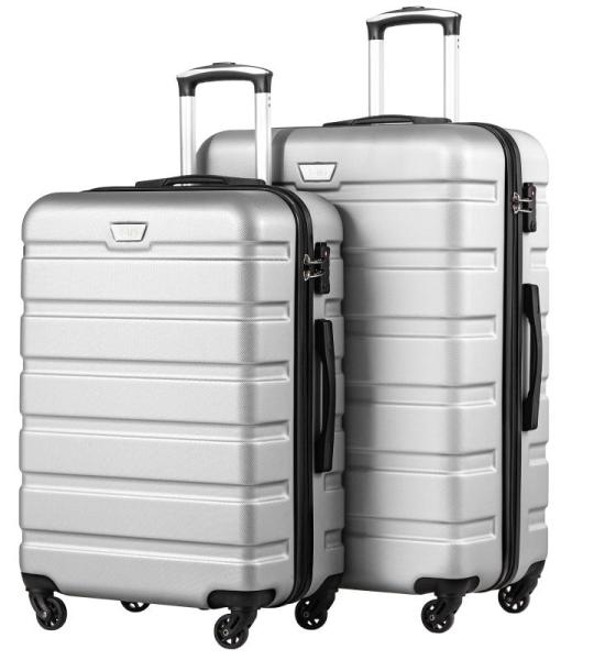 COOLIFE Harde koffer trolley rolkoffer reiskoffer ardschaal Boardcase handbagage met TSA-slot en 4 wielen, Helder zilver., Premium koffer
